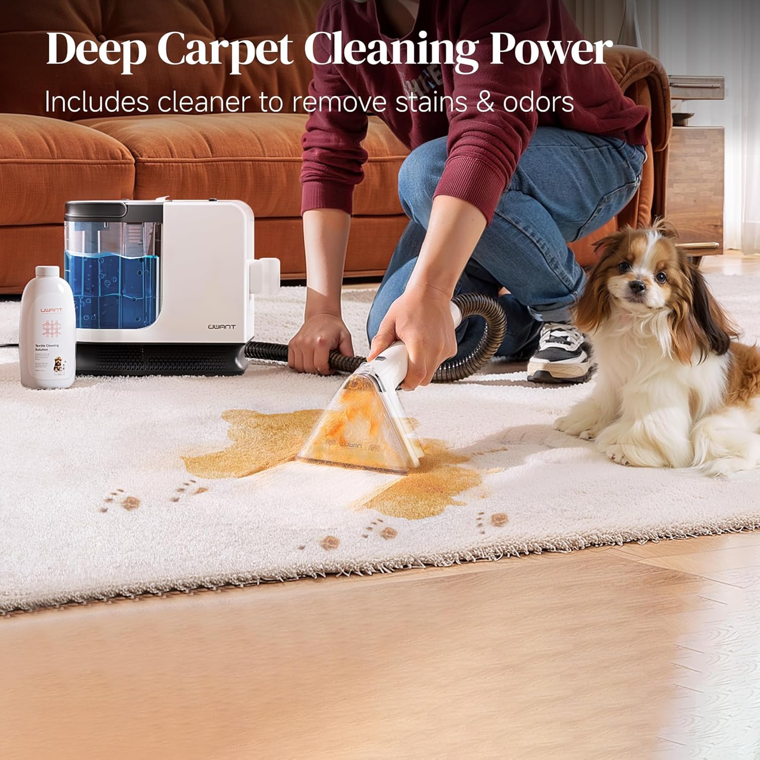 Portable Carpet Cleaner, 12Kpa Powerful Suction Spot Cleaner Machine, Upholstery Cleaner Machine, Home, Sofa, Car Cleaner,Chalk