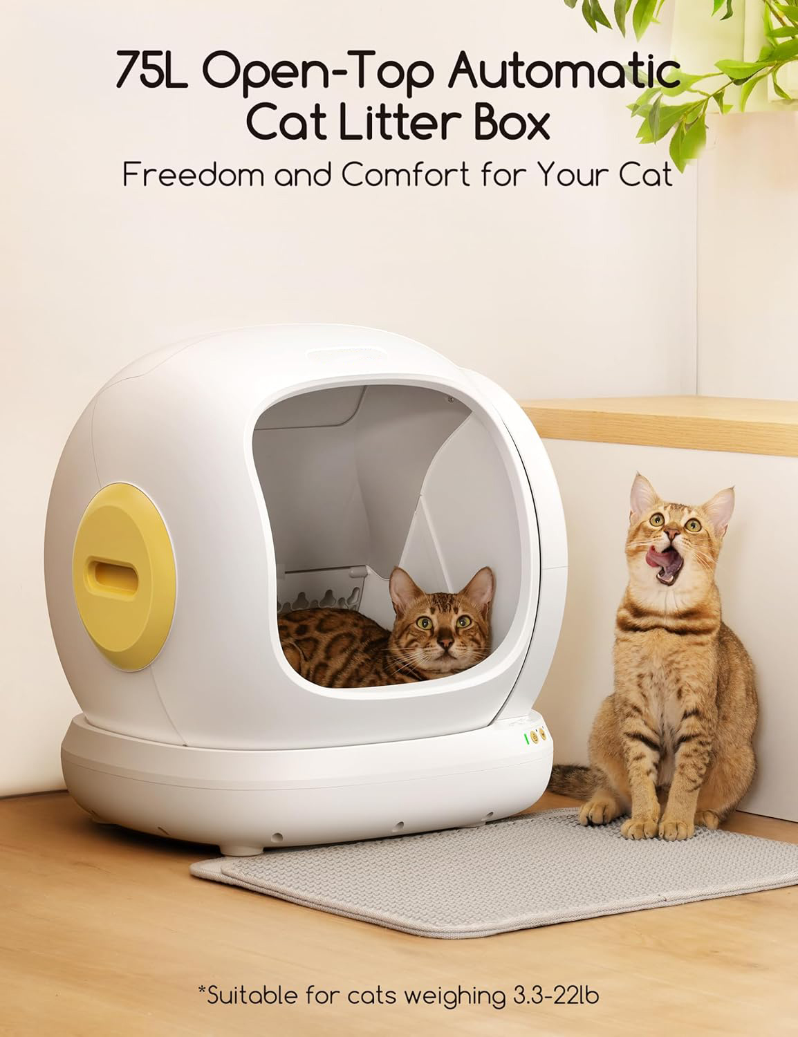 Self Cleaning Cat Litter Box, Open-Top Automatic Cat Litter Box with Safety Protection, App Control, Odor-Free, 75L Large Space for Multiple Cats
