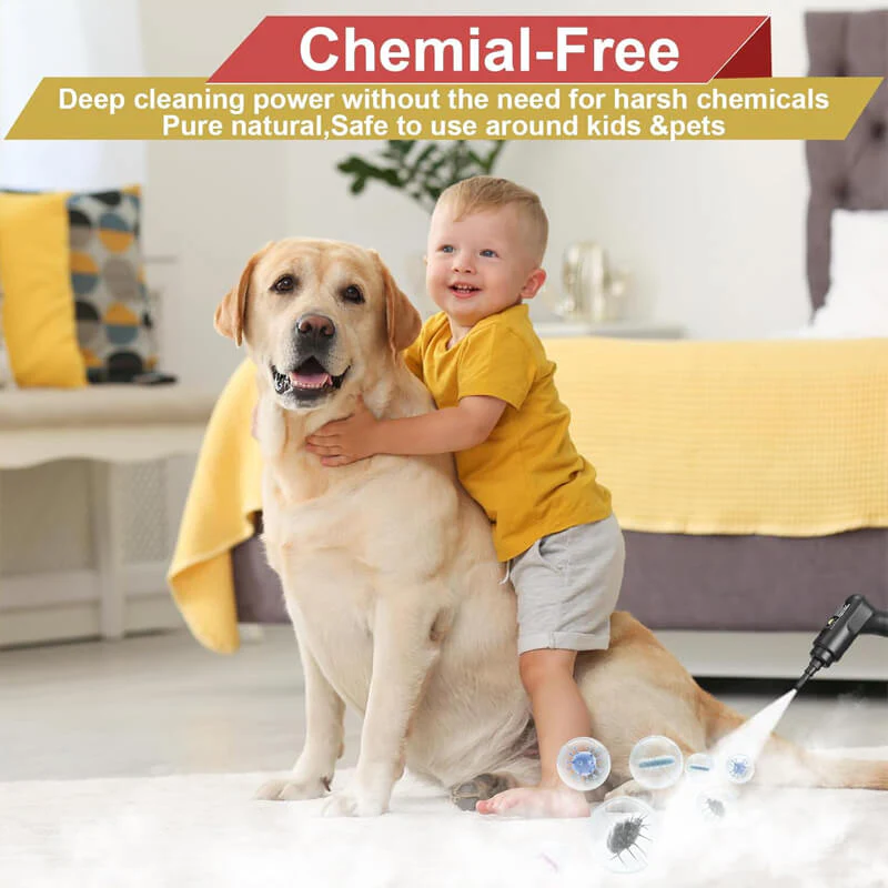 2500W High Pressure Steam Cleaner with Gloves